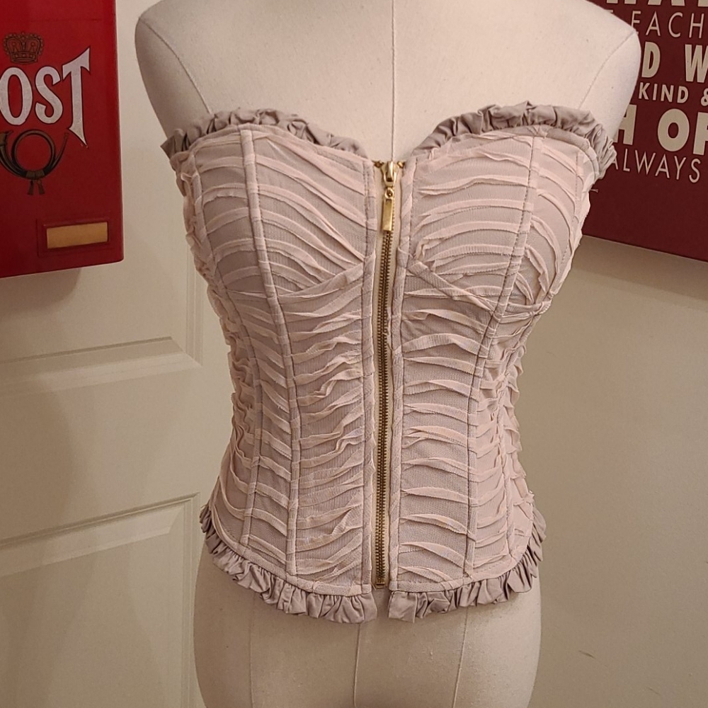 SAMPLE...gorgeous corset